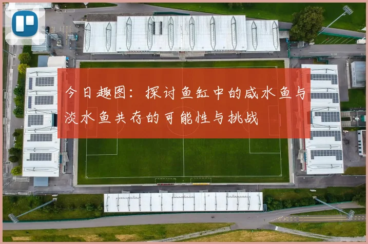 今日趣图：探讨鱼缸中的咸水鱼与淡水鱼共存的可能性与挑战