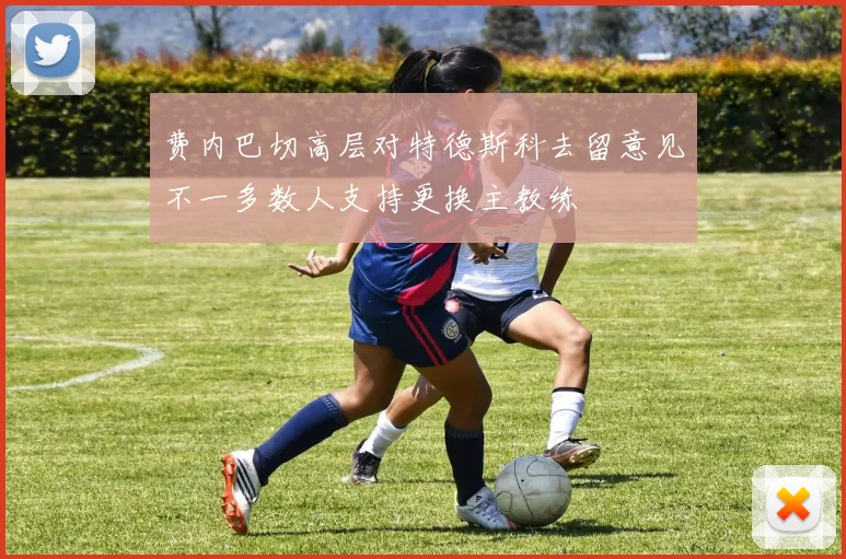 费内巴切高层对特德斯科去留意见不一多数人支持更换主教练
